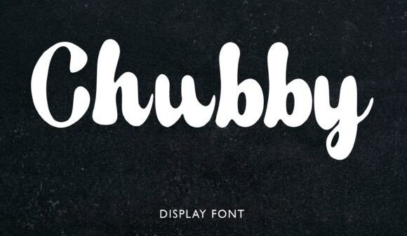 Chubby Ink: A Playful Display Font for Branding
